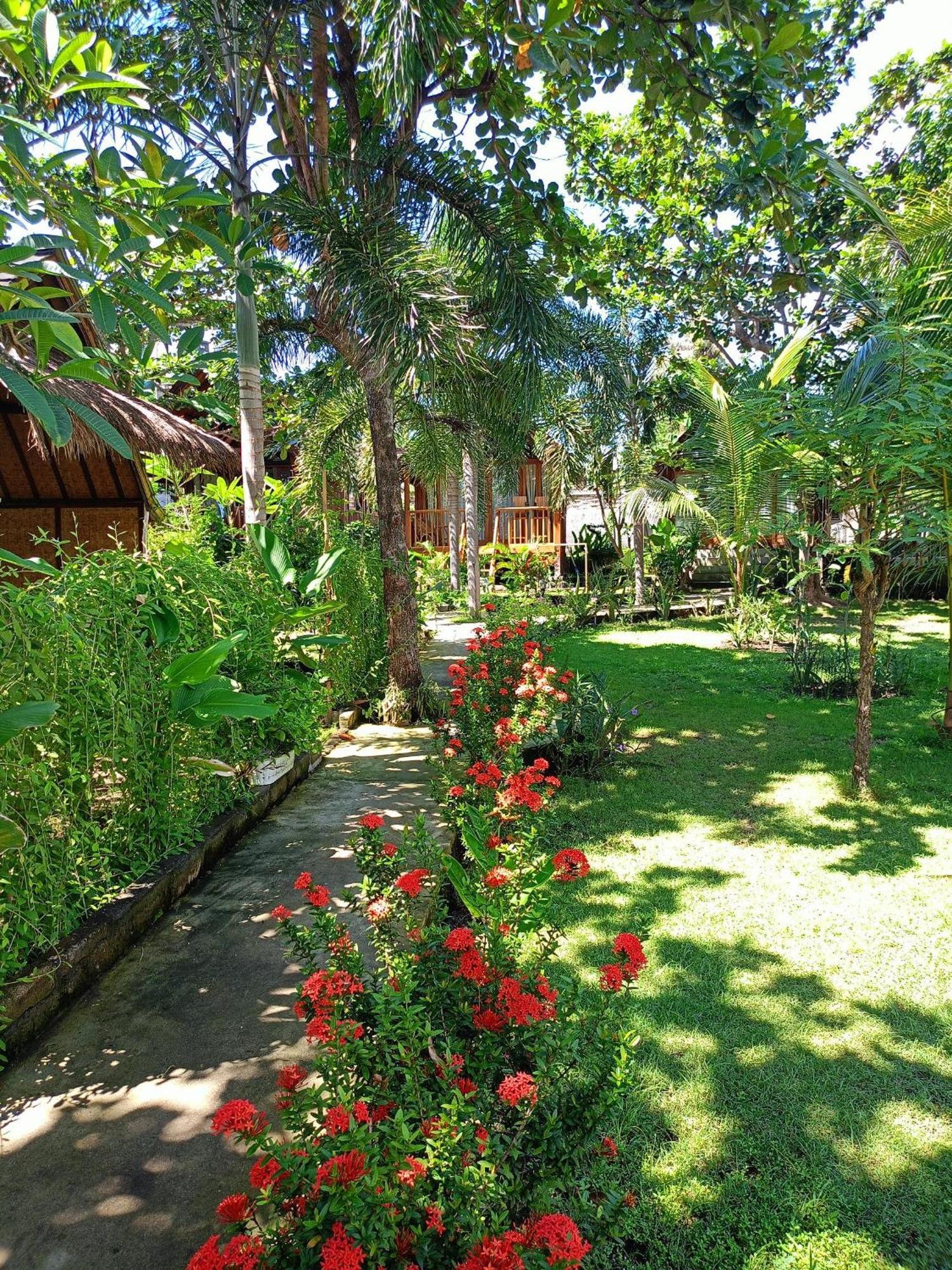 Bintang Tiga Gili Air
